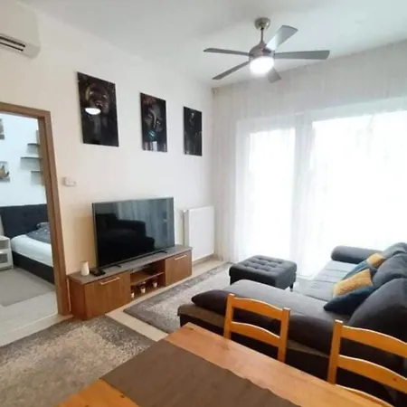 New Building In The Hearth Of Free Parking